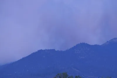 DSC_1863 (Large).JPG